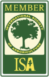 isa-member