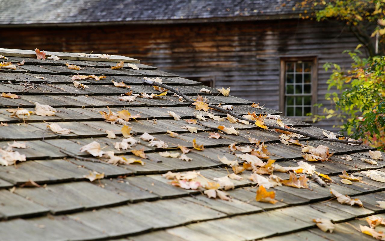 Fallen leaves on a roof from a nearby tree.