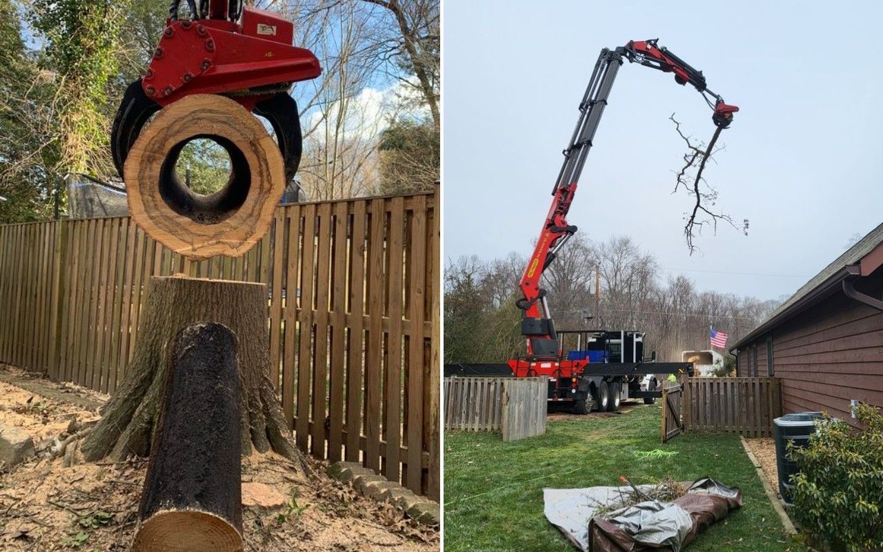 Left, a crane grapple holds a hollow trunk section above the stump it was cut from; right, a crane lifts a bare limb over a fence beside a house.