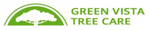 Expert Tree Care Service For Northern Virginia Alexandria Expert Tree Care Service For Northern Virginia Alexandria Arlington Fairfax Va