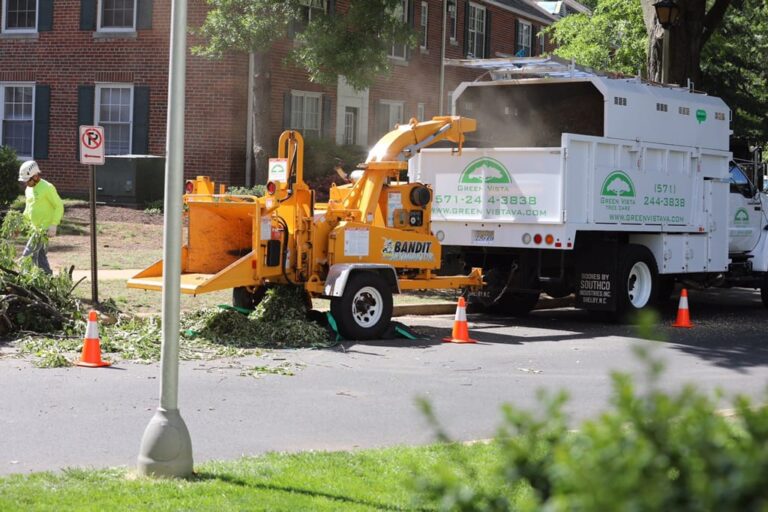 Daily Facility Services on Tumblr Tree removal virginia beach va