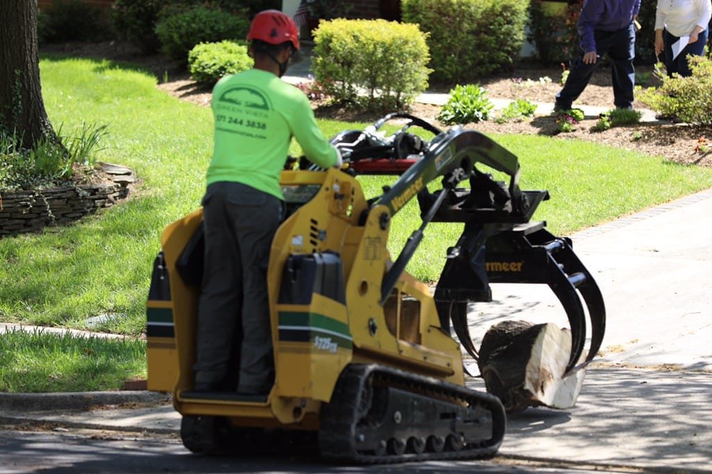 Tree removal stump grinding cost, 1801 Woburn MA
