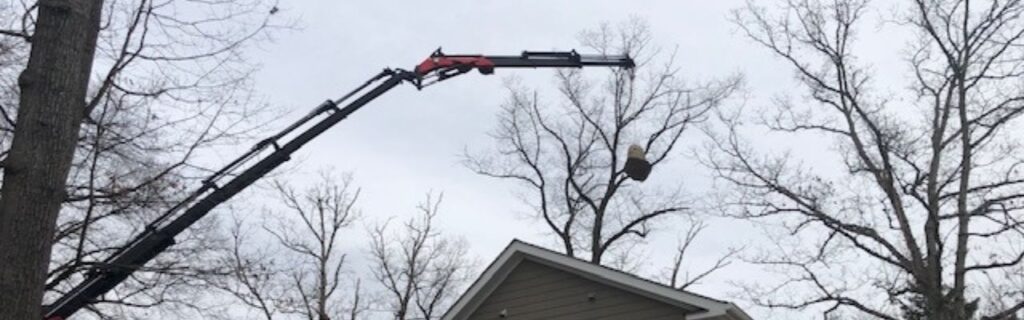 The Green Vista Tree Care team removes a tree by using a crane over a house.